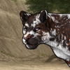 [Jaglion] Mosaic Piebald